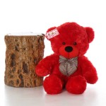 2.5 Feet Red Big Teddy Bear with a Bow